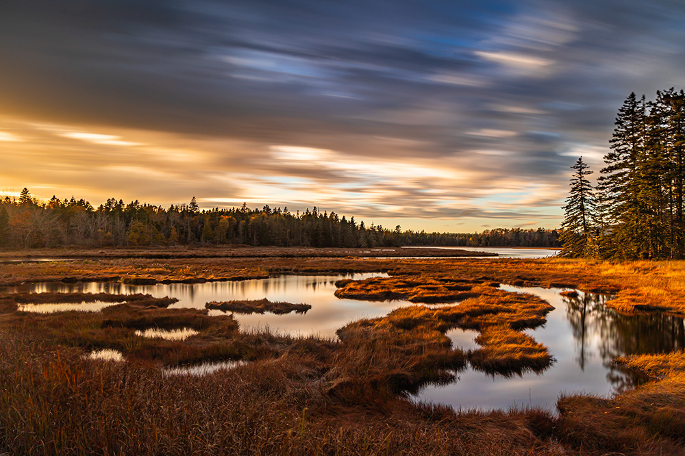 Bass Harbor Marsh might not be the most famous part of Acadia National Park, but its presence highlights the diversity of nature in this wonder of the East Coast.