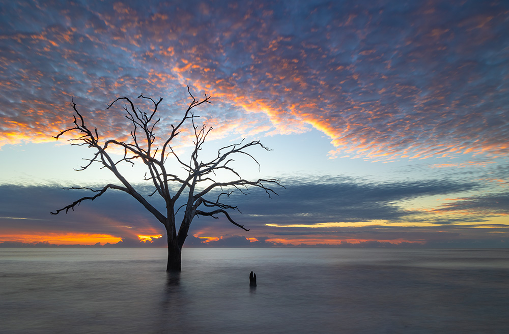 Boneyard beaches like this one in South Carolina completely change their appearance during low and high tides. They also become completely impassable during high tide. After all, the dead trees “grow” exactly where the beach gets flooded and exposed twice a day.