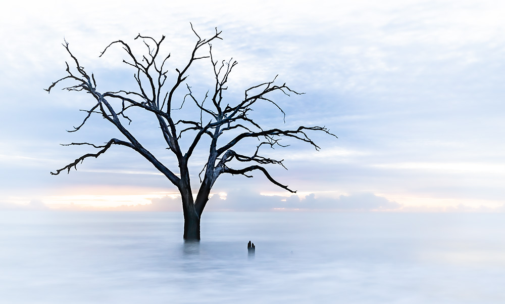 A long-exposure (and overexposed) shot of this boneyard beach gives an interesting effect of something otherworldly.