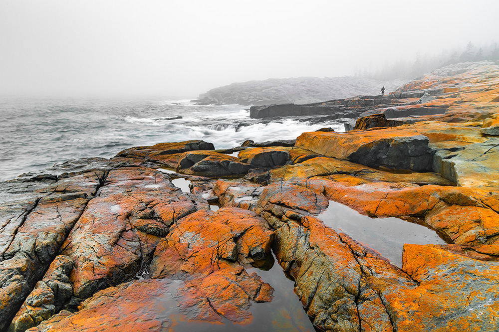 Remote and ten times less crowded part of Acadia park. The atmospheric conditions didn't bring me any light that evening, but I managed to find some vibrant colors in a different way.