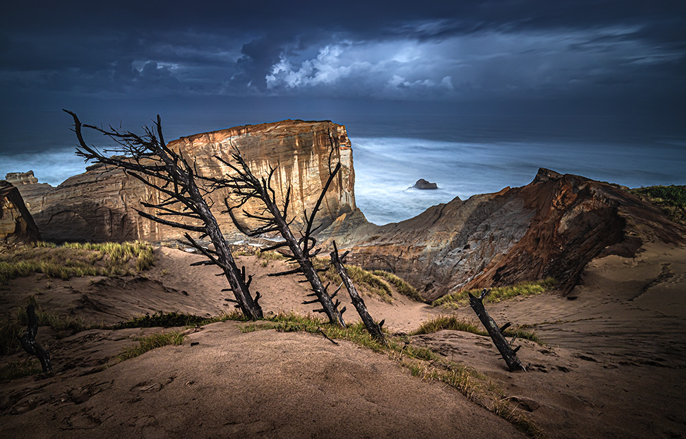 After having a pint of pilsner in a bar in Pacific City, Oregon, I set out to wander the sandy hills of Cape Kiwanda, although I could have just stayed and had another pint of pilsner. Never did I achieve anything more heroic in my life. And I'm still wondering to this day whether the consistent leaning of the trees in the photo was caused by the wind or the pilsner.