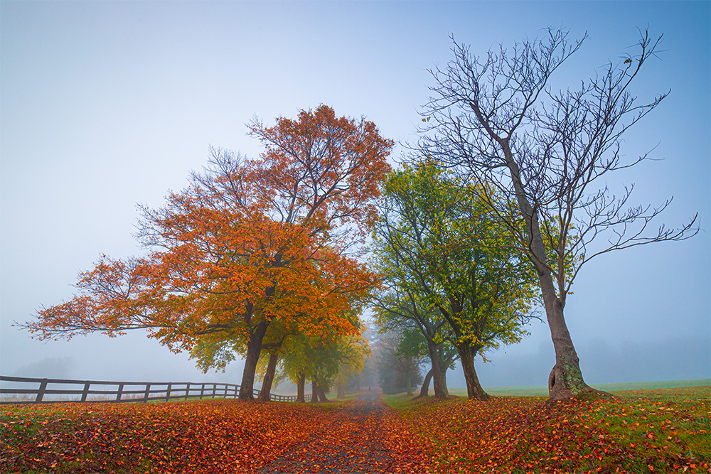 I keep complaining all the time that fog conditions are not very frequent here in Virginia. When they do happen, even ordinary scenes often turn into something magical. However, when they do happen, it's always in the morning, and I'm typically too lazy to drag myself out of bed.