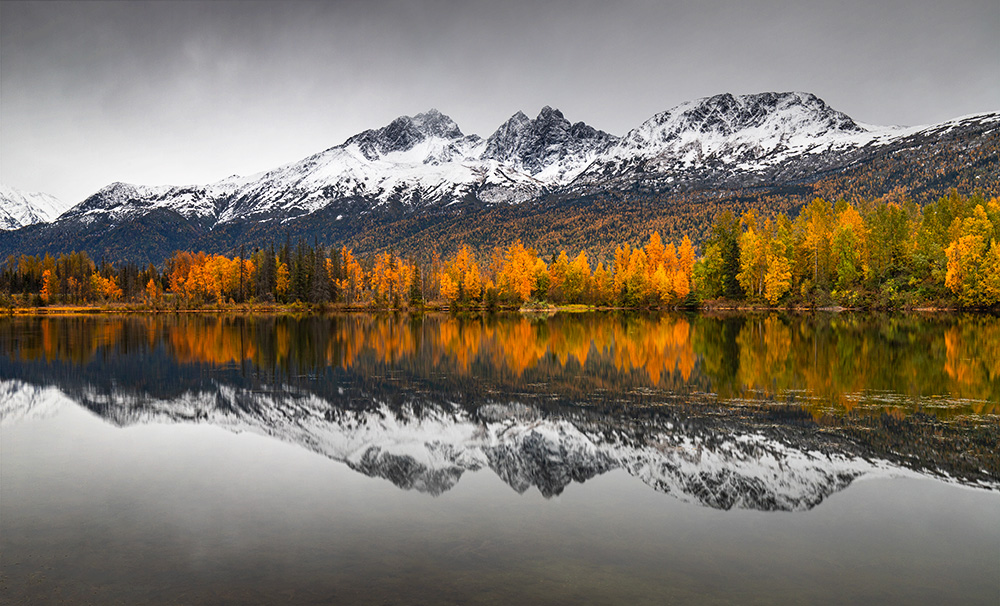 “Termination dust” seems to be exclusively Alaskan colloquial term and means the first dusting of snow in the mountains at the end of the summer season. Historically, it gave the seasonal workers an indication that snow was imminent and it was time to start preparing their camp and work for winter. For many, it in fact meant “termination” of their employment status. Despite some negative connotation of the term (some Alaskan even asked reporters and the weather people to stop using it) few things in nature can compare to the beauty of glowing aspens highlighted by white snow in the mountains.