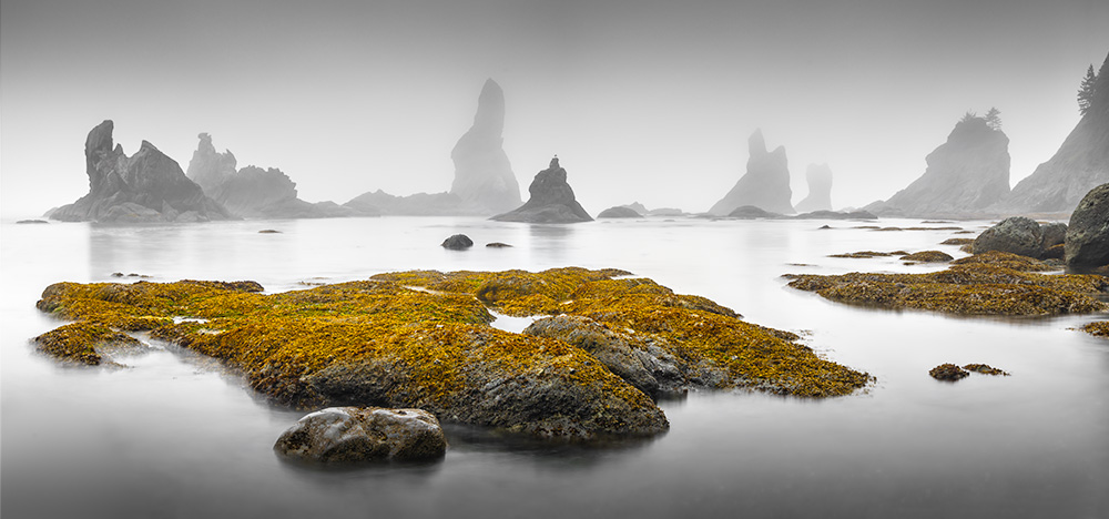 What can a person camping right by the ocean with no access to the Internet for 24 hours do? Right, watch the breathing of the water and take occasional pictures. While at some coastal locations, changes to the scenery brought by low or high tide are hardly noticeable, here on Shi-Shi Beach the in-water rocks become barely visible during high tide, but almost all the water retreats during low tide. Living through every minute of these slow changes is a truly magical experience.