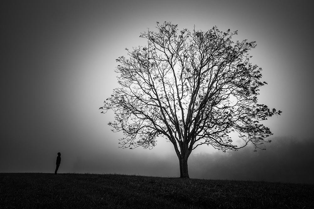 I didn't have a remote shutter release with me that day, so I had ten seconds between hitting the camera button and sprinting to the spot where I was going to stand and express something profound. And I had to repeat this entertainment a dozen times. Luckily, the dense fog meant nobody could see this idiot with his bizarre morning exercise.