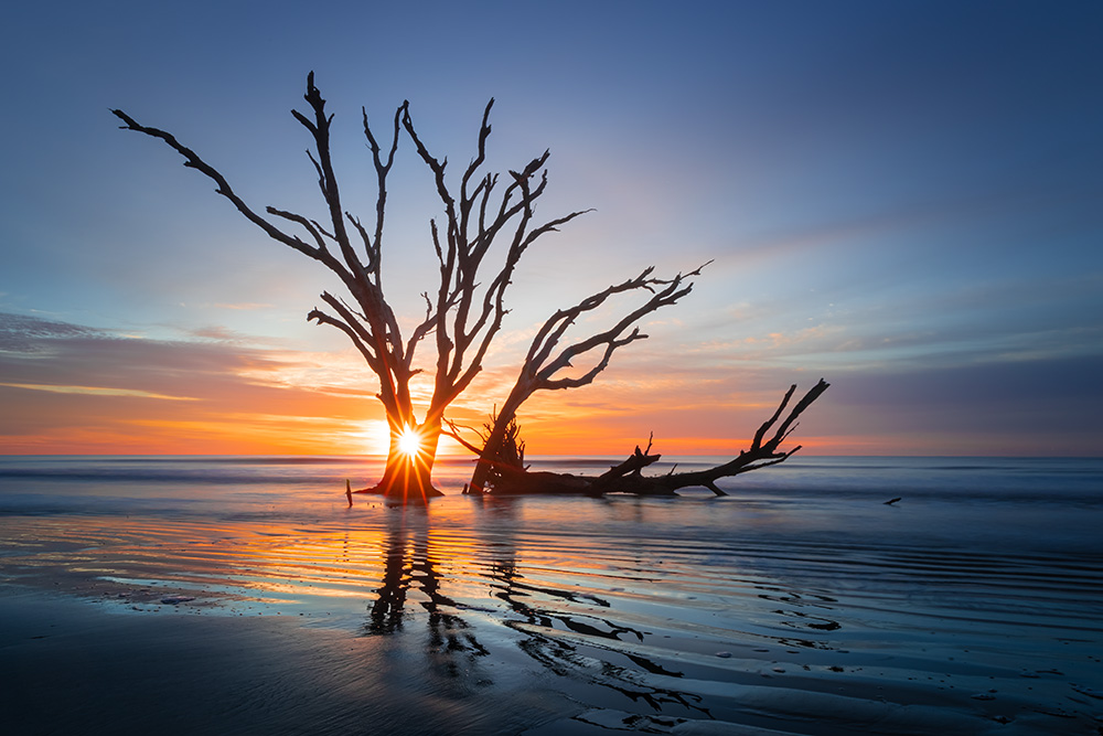 The beginning of a new day brings a sense of life to this somewhat apocalyptic location.