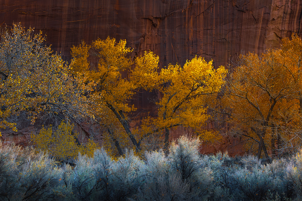 Utah