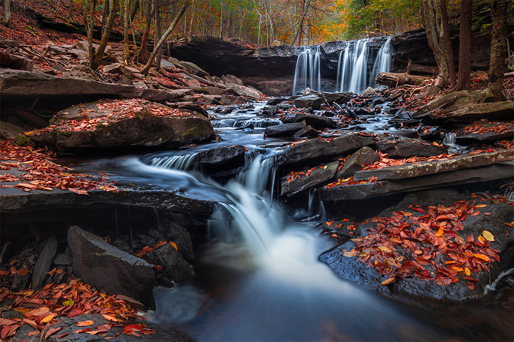 A very classic view in Ricketts Glen State Park. Even the painful realization that it wasn’t unique didn’t stop me from taking the shot.
