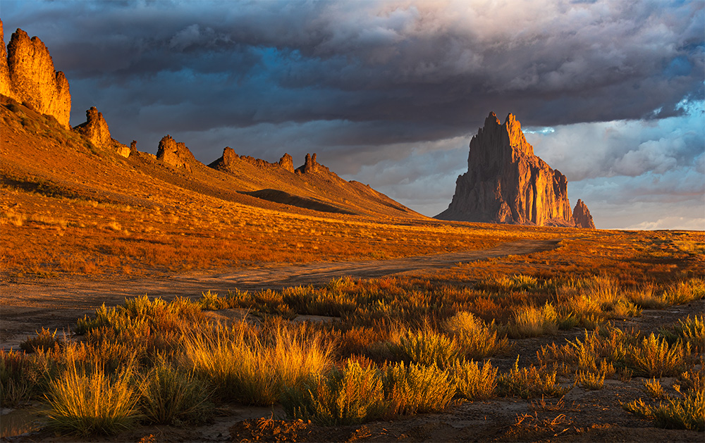 New Mexico