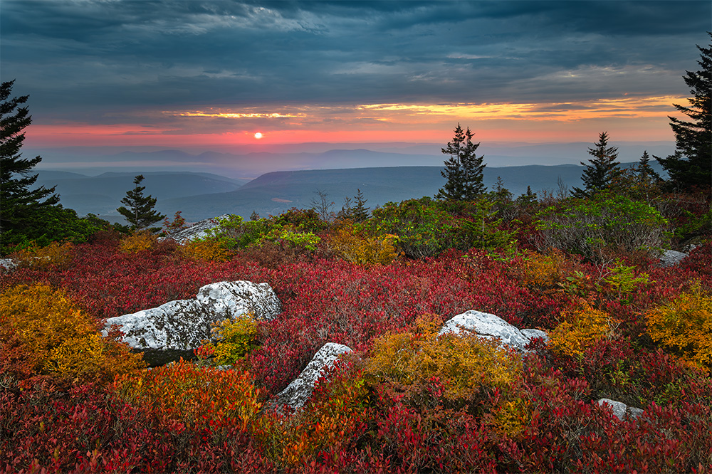 The area of Dolly Sods traditionally sees fall colors much earlier in the season. Behind me is the Dolly Sods plateau; even farther behind are Canaan Valley and the Allegheny Mountains. The slightly higher elevation of these regions makes the temperature noticeably lower than anywhere else in the Mid-Atlantic. Right in front of me, in the valley below, fall is only now starting to show its snap. Dolly Sods is indeed a unique place—allegedly resembling the Canadian tundra more than other regions of the Appalachians.