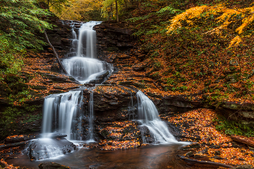 I've seen this waterfall after heavy rains, when the water rushes down in a single flow. I've seen it after a period of drought, when there was too little water to convey any sense of intensity. But sometimes, everything just aligns perfectly.