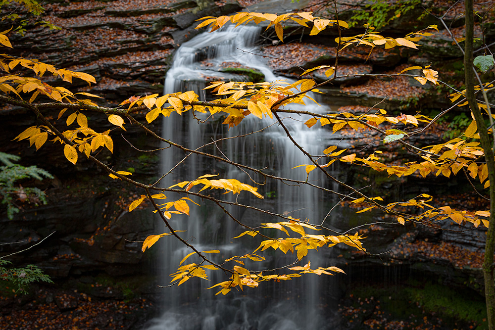 Lewis Falls are located in a much less visited area compared to the nearby Ricketts Glen State Park.